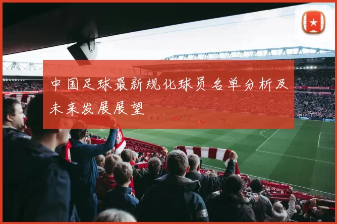 中国足球最新规化球员名单分析及未来发展展望